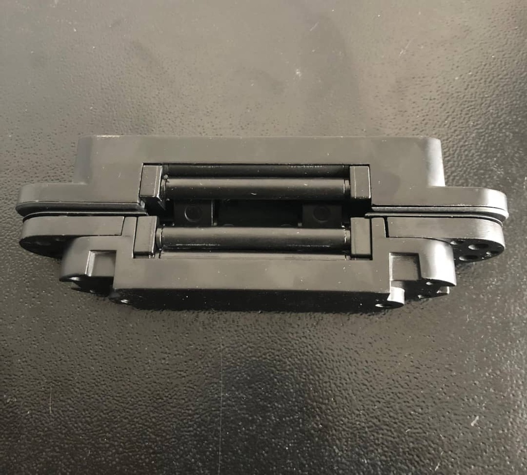 PAUMELLE SecuMAX INVISIBLE PORTE BOIS NOIR ZINC 150*25 E 35mm ARGENT PAIRE